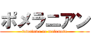 ポメラニアン (fuwafuwa no mofumofu)
