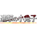 進撃の小兔子 (attack on bunny)