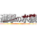 進撃の水狼 (attack on Shabi)