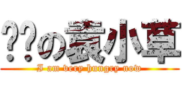 饥饿の袁小草 (I am very hungry now)