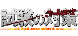 試験の対策 (study for examinationn)