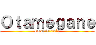 Ｏｔａｍｅｇａｎｅ (top of the otaku)