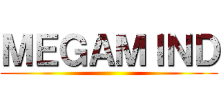 ＭＥＧＡＭＩＮＤ ()
