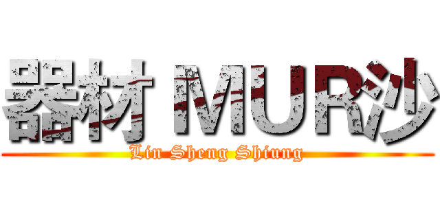 器材 ＭＵＲ沙 (Lin Sheng Shiung)