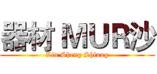 器材 ＭＵＲ沙 (Lin Sheng Shiung)