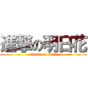 進撃の明日花 (attack on titan)