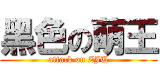 黑色の萌王 (attack on ZJU)