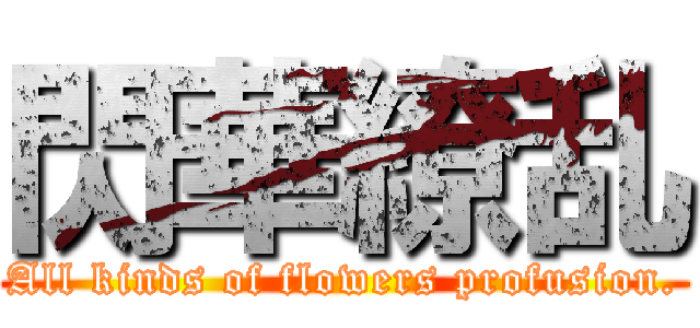 閃華繚乱 (All kinds of flowers profusion.)