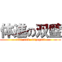 体進の双璧 (aiki  and  mizoguti)