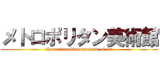 メトロポリタン美術館 (the metropolitan museum of art)