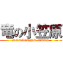 竜の小笠原 (DORAGONS GUTS)