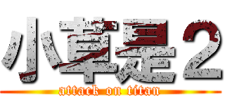 小草是２ (attack on titan)