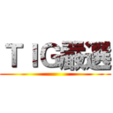 ＴＩＧ嚴選 ()