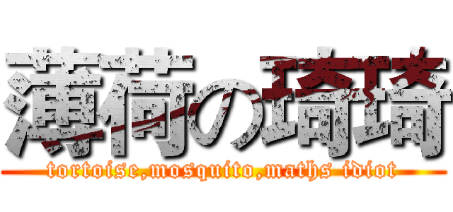 薄荷の琦琦 (tortoise,mosquito,maths idiot)
