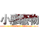小廖廢物 (attack on titan)