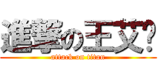 進撃の王艾妮 (attack on titan)