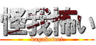 怪我怖い (kagakowai)