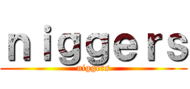 ｎｉｇｇｅｒｓ (niggers)