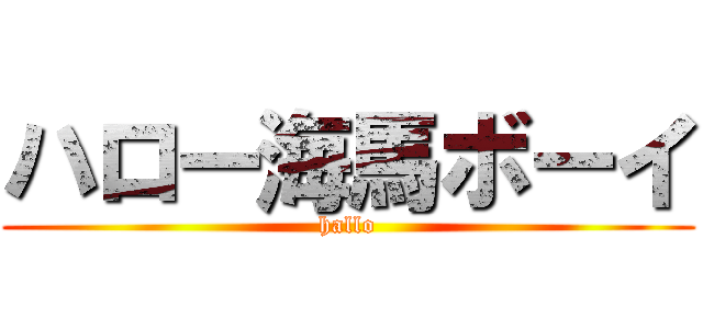 ハロー海馬ボーイ (hallo)