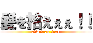 髪を拾えぇぇ！！ (attack on titan)
