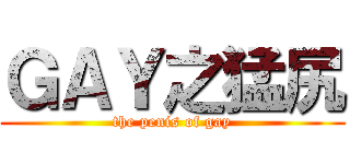 ＧＡＹ之猛尻 (the penis of gay)