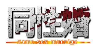 同性婚 (same sex marrige)