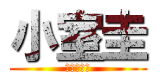 小室圭 (まんこさま)