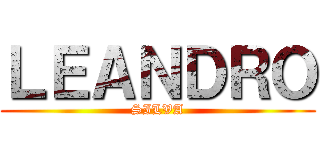 ＬＥＡＮＤＲＯ (SILVA)