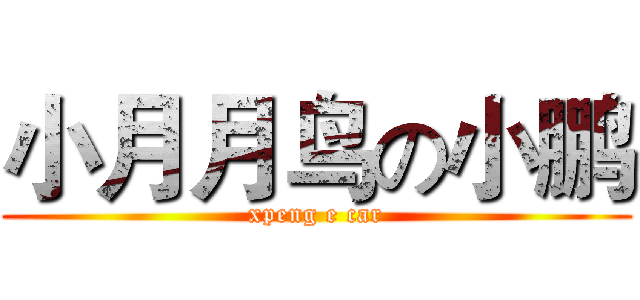小月月鸟の小鹏 (xpeng e car)