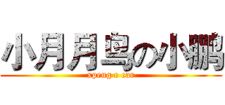 小月月鸟の小鹏 (xpeng e car)