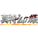 真特么の烦 (attack on titan)