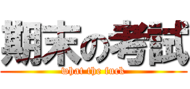 期末の考試 (what the fuck)