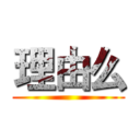 理由么 ()