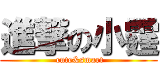 進撃の小霆 ( cute&smart)