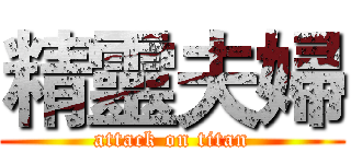 精靈夫婦 (attack on titan)