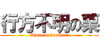 行方不明の栗 (Where is kuriken?)