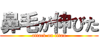 鼻毛が伸びた (attack on titan)