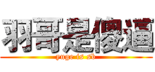 羽哥是傻逼 (yuge is sb)