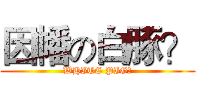 因幡の白豚？ (WHITE PIG?)