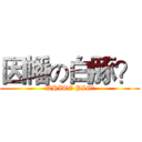 因幡の白豚？ (WHITE PIG?)