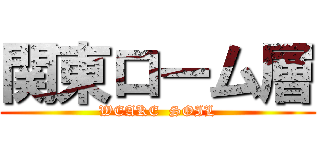 関東ローム層 (WEAKE  SOIL)