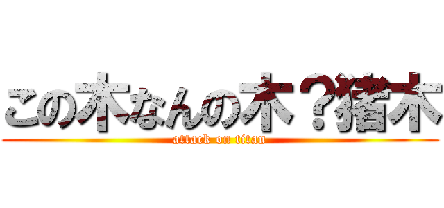 この木なんの木？猪木 (attack on titan)