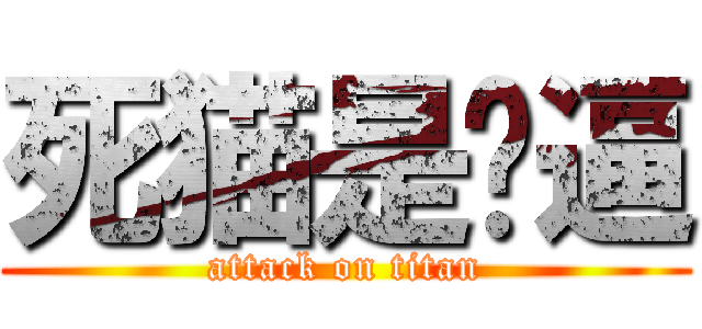 死猫是傻逼 (attack on titan)