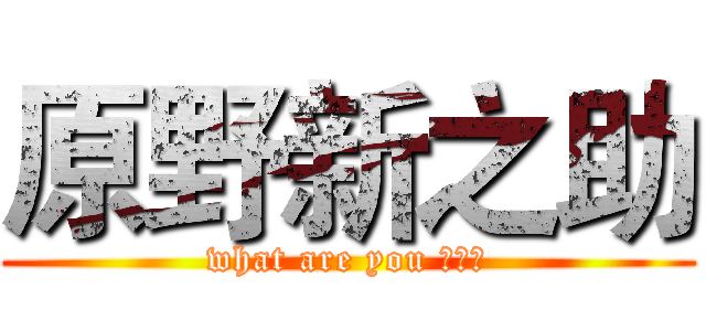 原野新之助 (what are you 弄啥类)