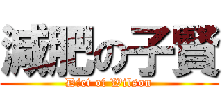 減肥の子賢 (Diet of Wilson)