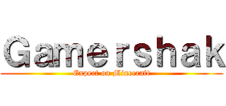 Ｇａｍｅｒｓｈａｋ (Expert on Minecraft)