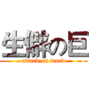 生僻の巨 (attack on word)