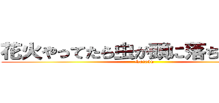 花火やってたら虫が頭に落ちてきました (Saiaku)