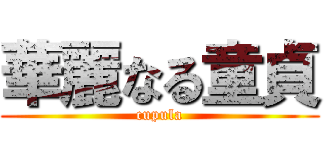 華麗なる童貞 (cupula)