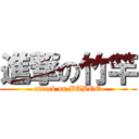 進撃の竹竿 (attack on BABOO)